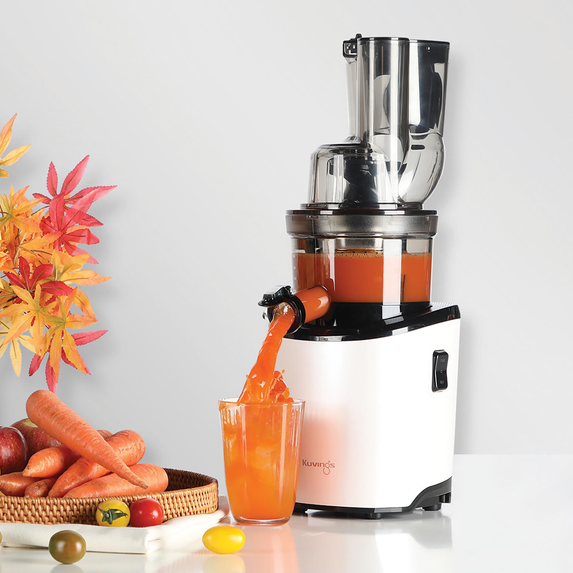 Kuvings REVO830 WholeSlowJuicer