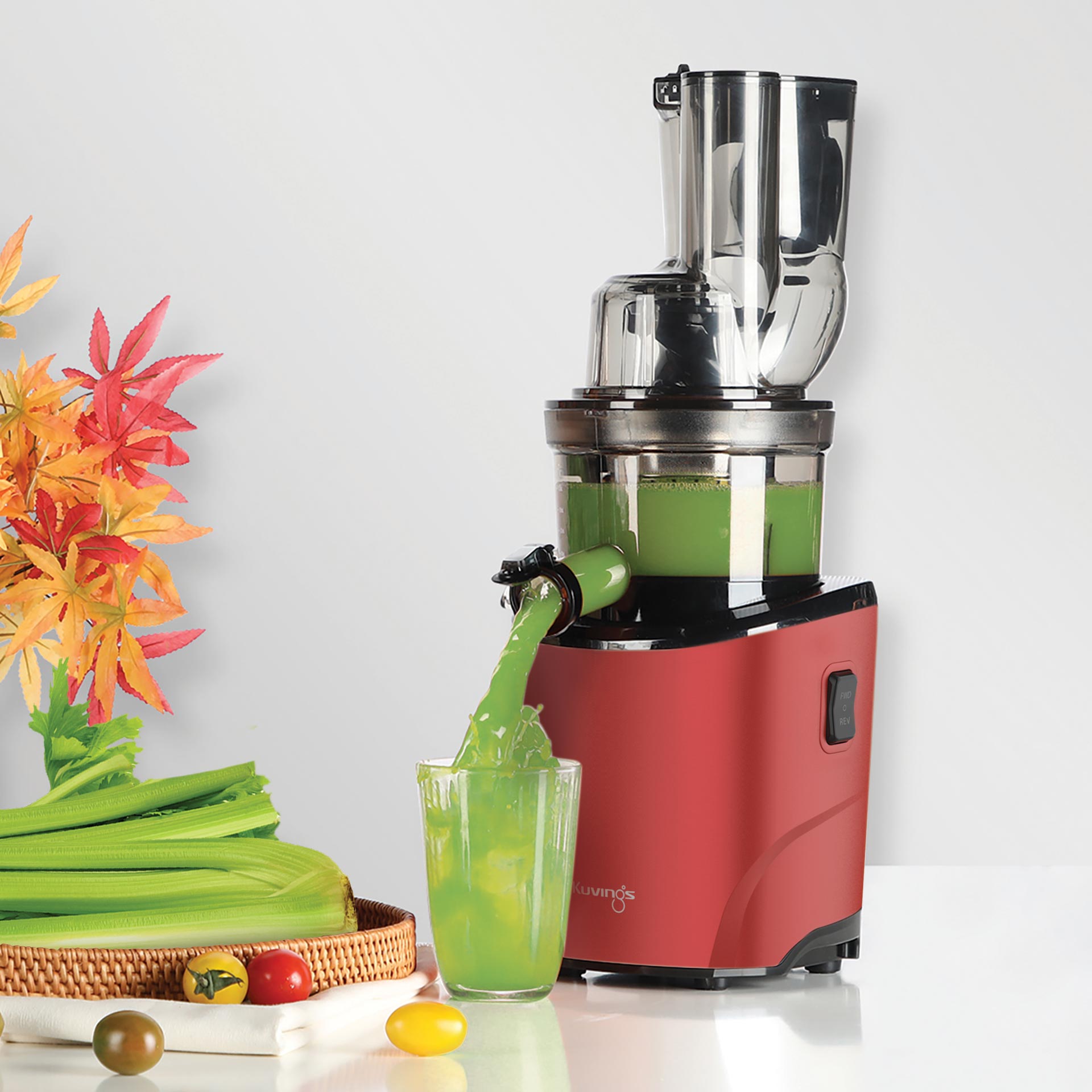 Kuvings REVO830 WholeSlowJuicer