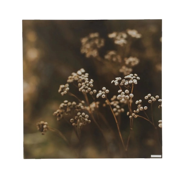 Herschel_EU_BH_500 Herschel_EU_BH_500